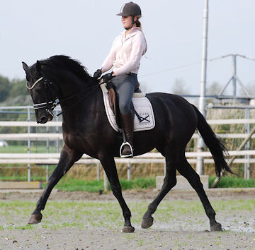 Klik voor een vergroting