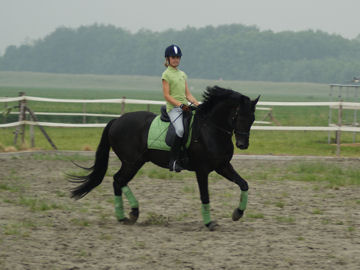 Klik voor een vergroting