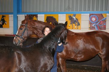 Klik voor een vergroting